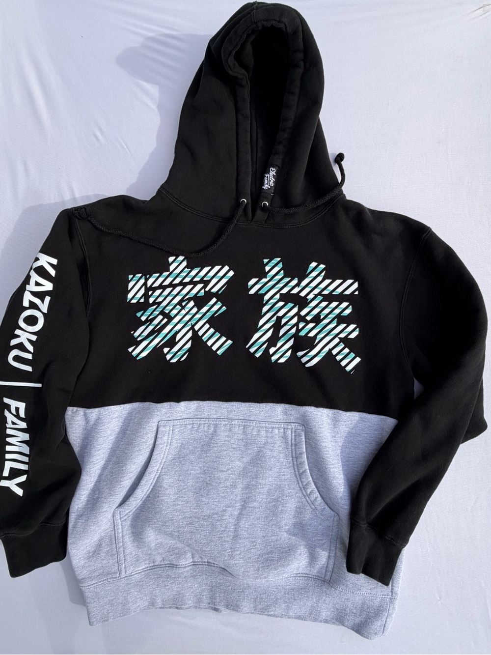 Electric Family Kazoku Japanese Kanji EMD Hoodie M